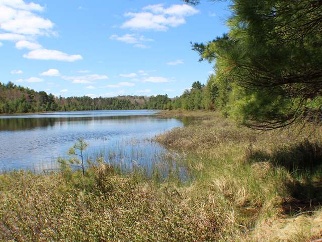 On Star Lake Road Manitowish Waters, WI 54545 - Photo 2 of 11 Gallery Image 2
