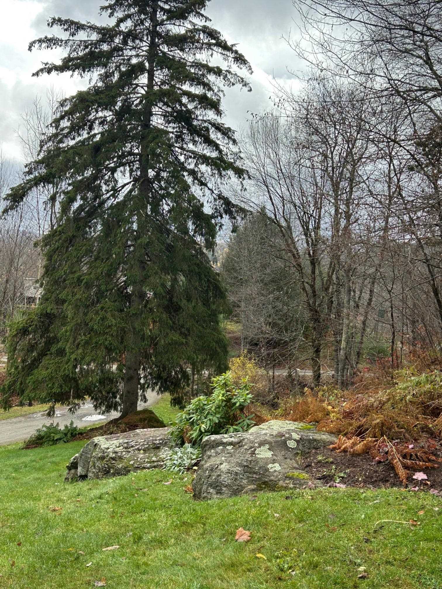 33 Williams Lane Wolcott, VT 05680 - Photo 49 of 57