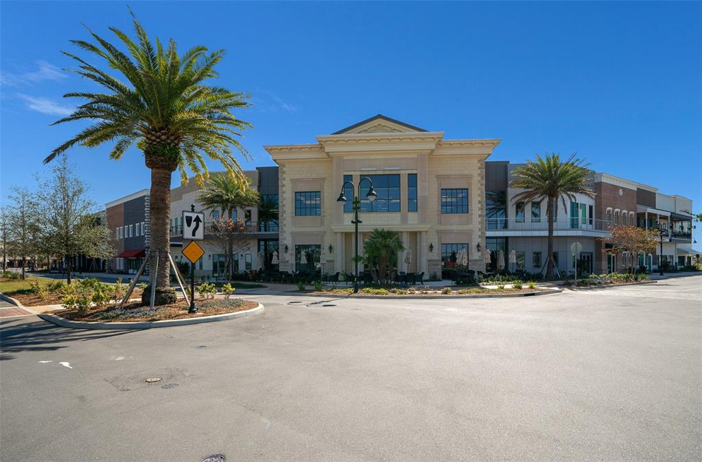 178 Highway 301 Sumterville, FL 33585 - Photo 23 of 25 a palm tree sitting in front of a house with a small yard