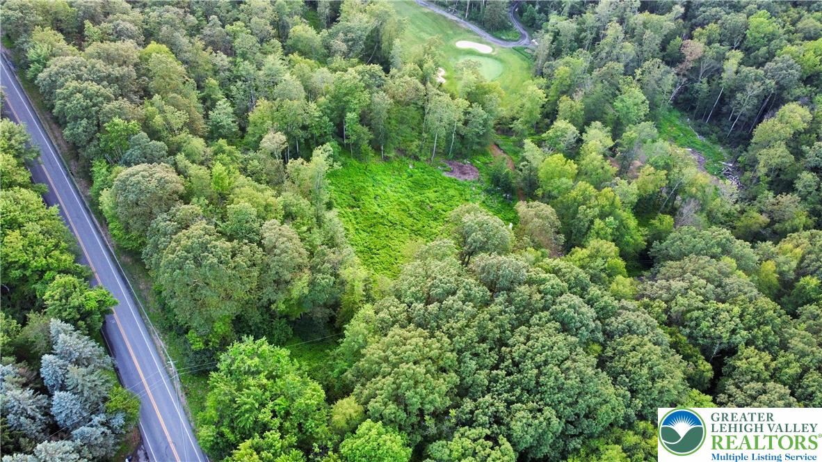 0 Back Road Barnesville, PA 18214 - Photo 3 of 9 a view of a forest with a tree