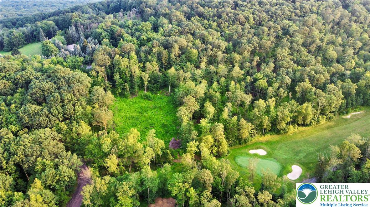 0 Back Road Barnesville, PA 18214 - Photo 5 of 9 a view of a bunch of trees and bushes