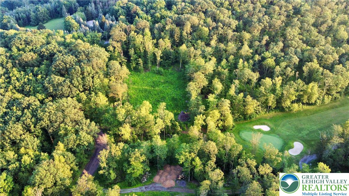 0 Back Road Barnesville, PA 18214 - Photo 8 of 9 a view of a garden