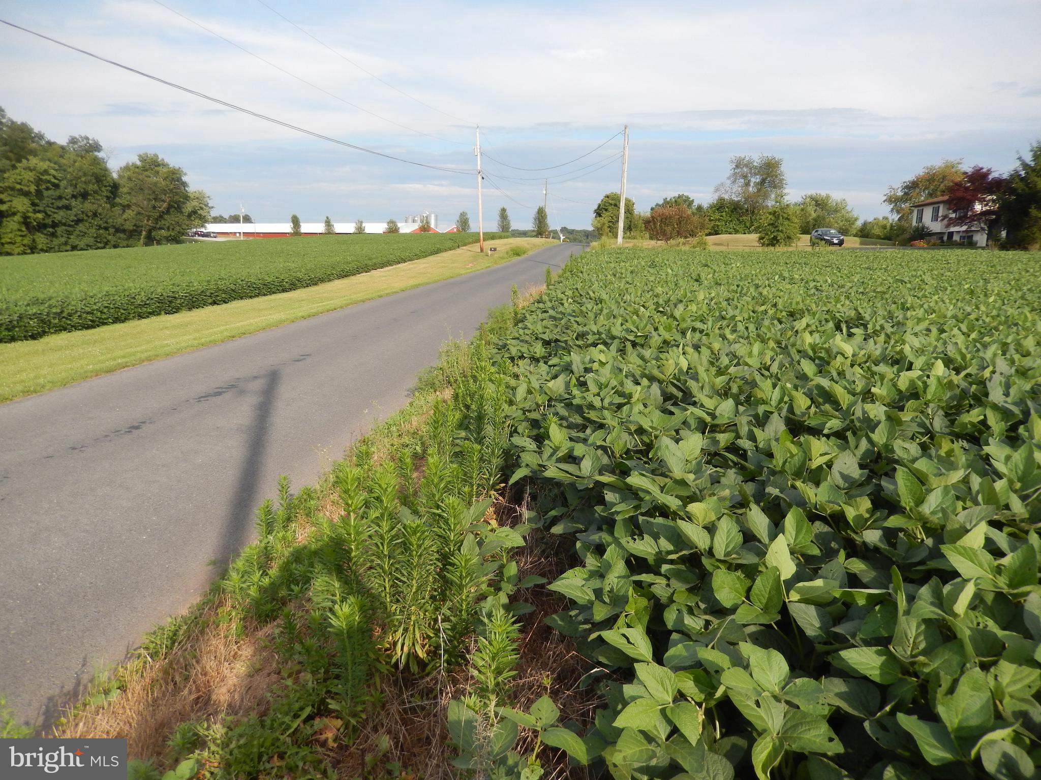 134 County Line Road Dillsburg, PA 17019 - Photo 3 of 5 Gallery Image 3