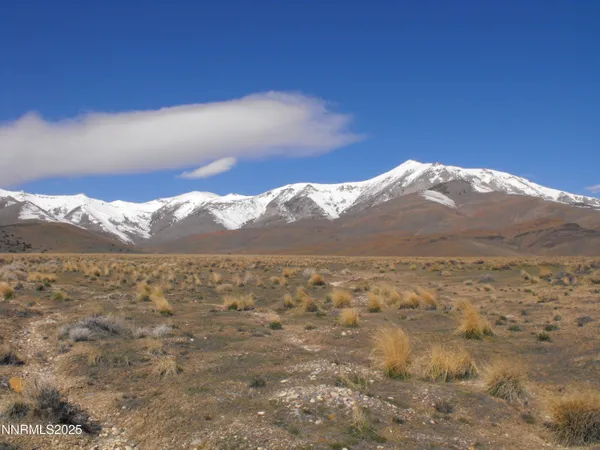 $35,000 | 0 Coyote Canyon Road, Imlay, NV 89418