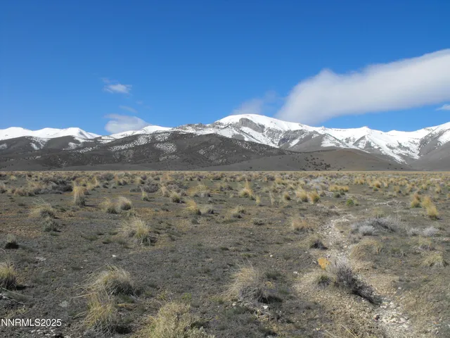 $35,000 | 0 Coyote Canyon Road, Imlay, NV 89418