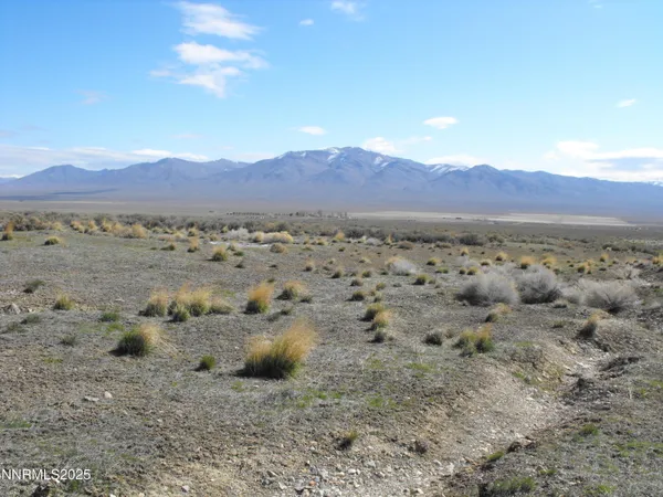 $35,000 | 0 Coyote Canyon Road, Imlay, NV 89418
