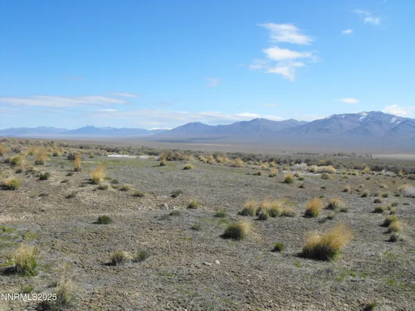 $35,000 | 0 Coyote Canyon Road, Imlay, NV 89418