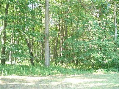 1045 Kelley Road Montgomery, MI 49255 - Photo 3 of 6 Additional Photo