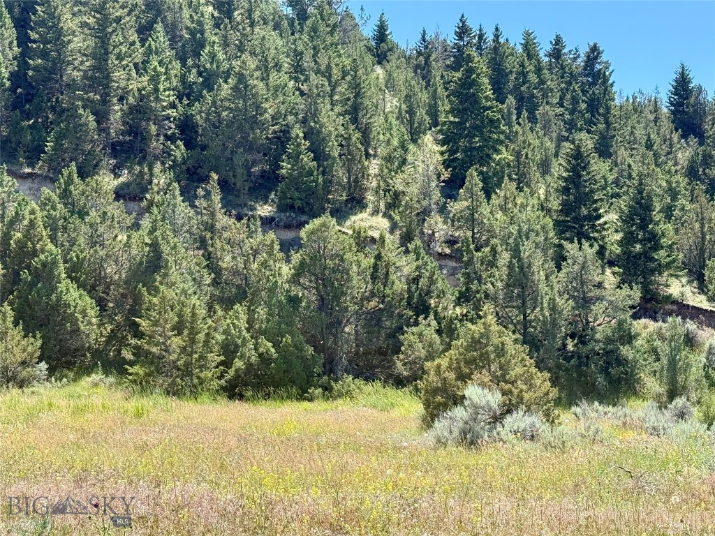 Lot 290 Broken Creek Road Three Forks, MT 59752 - Photo 9 of 22 Gallery Image 9