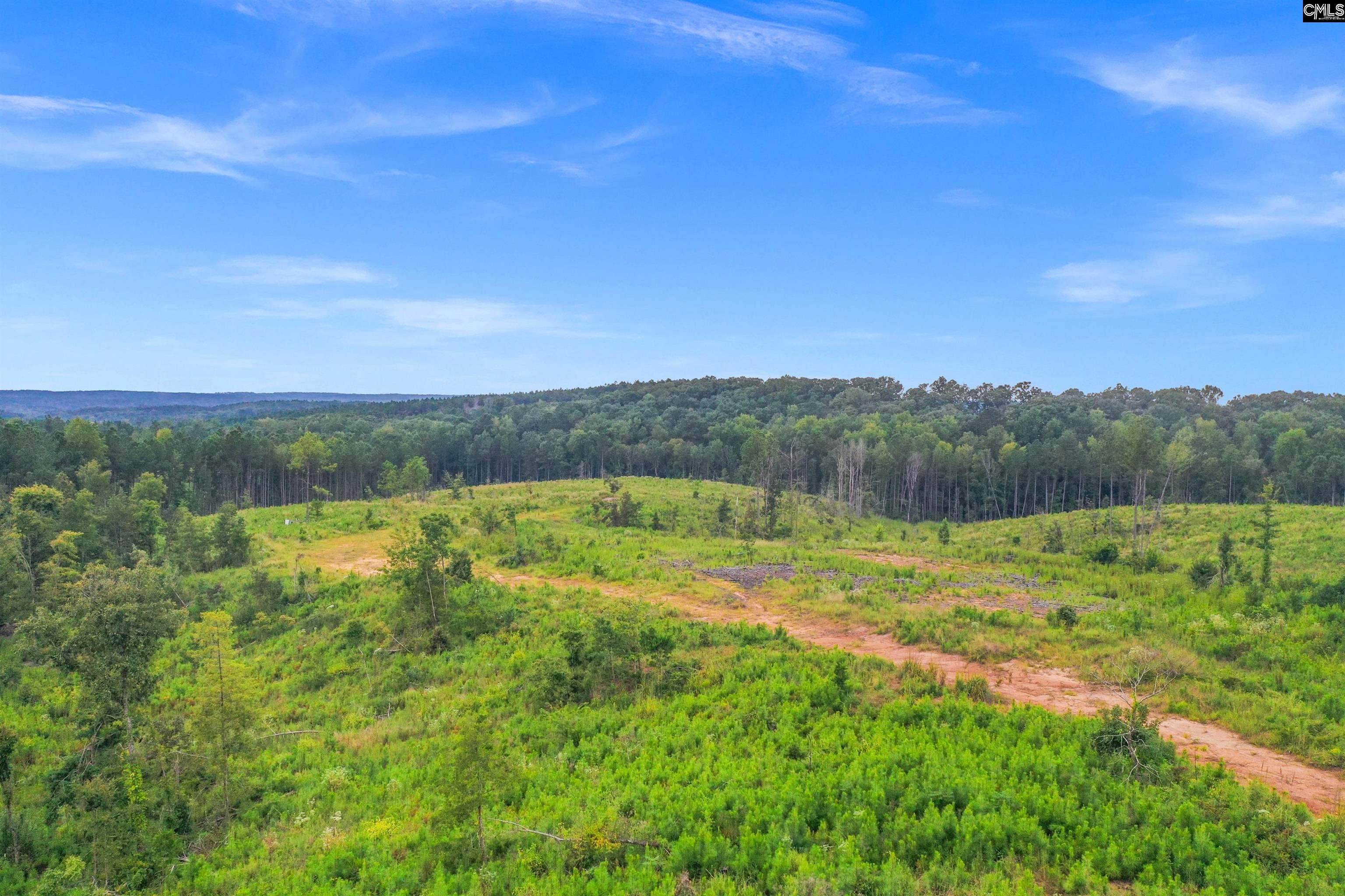 0 Penner Road, Unit 7 Jenkinsville, SC 29065 - Photo 10 of 36
