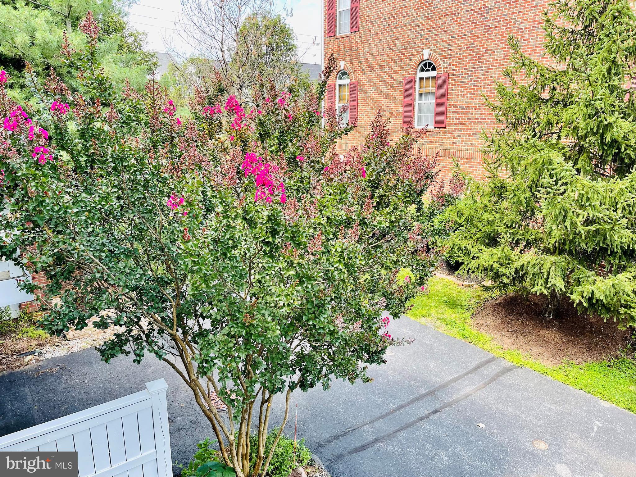 709 Gaither Road Rockville, MD 20850 - Photo 41 of 51 View from deck