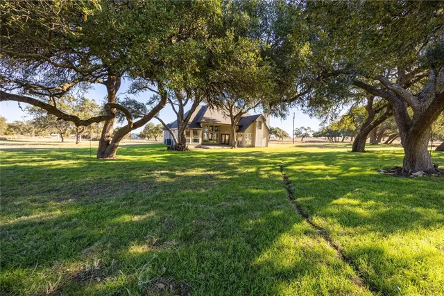 a view of yard with trees