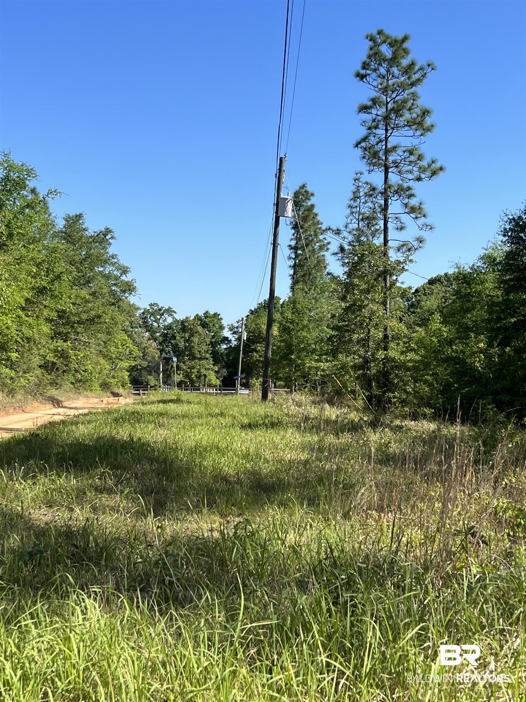0 East Chunchula Highlands Road Chunchula, AL 36521 - Photo 18 of 18