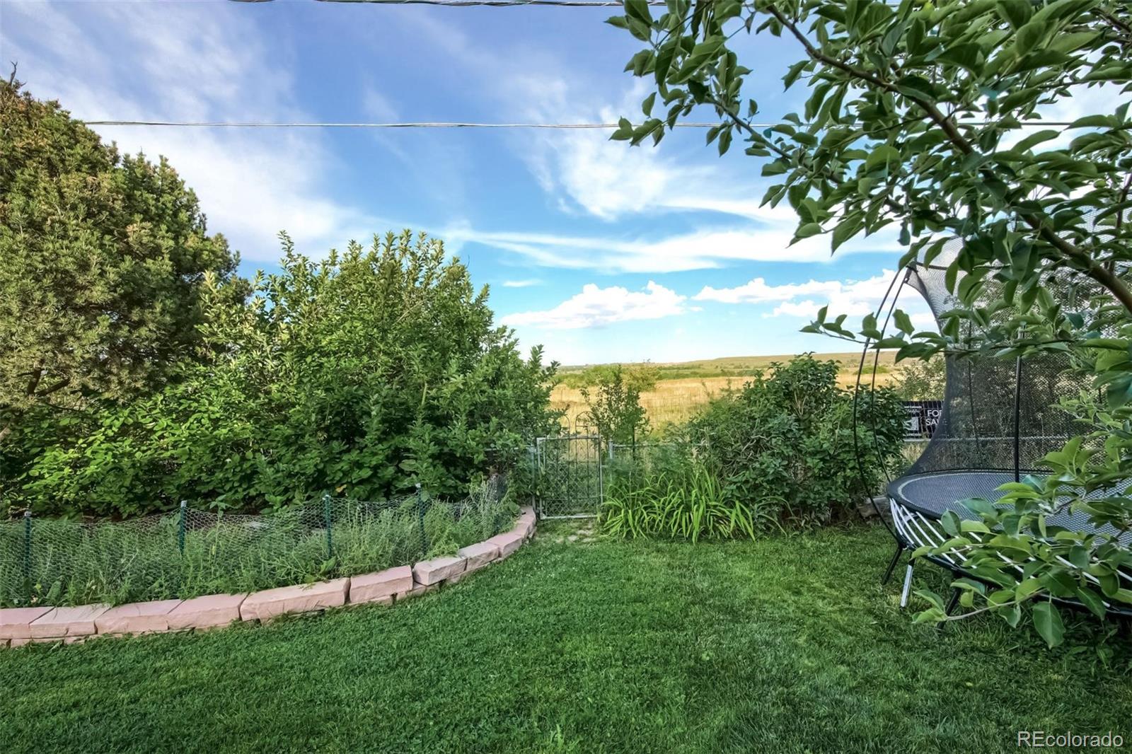 1320 Chambers Drive Boulder, CO 80305 - Photo 39 of 39 a view of a yard with a tree