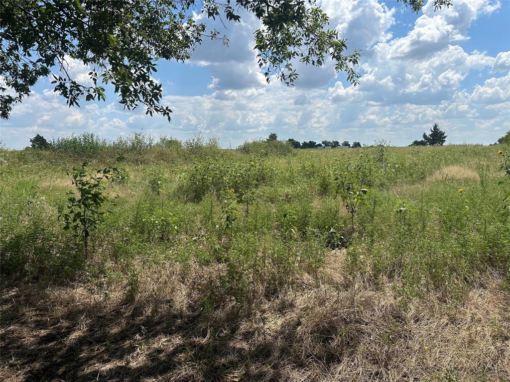 Lot 4 Rutledge Road Whitewright, TX 75491 - Photo 5 of 13 a view of a bunch of trees and bushes
