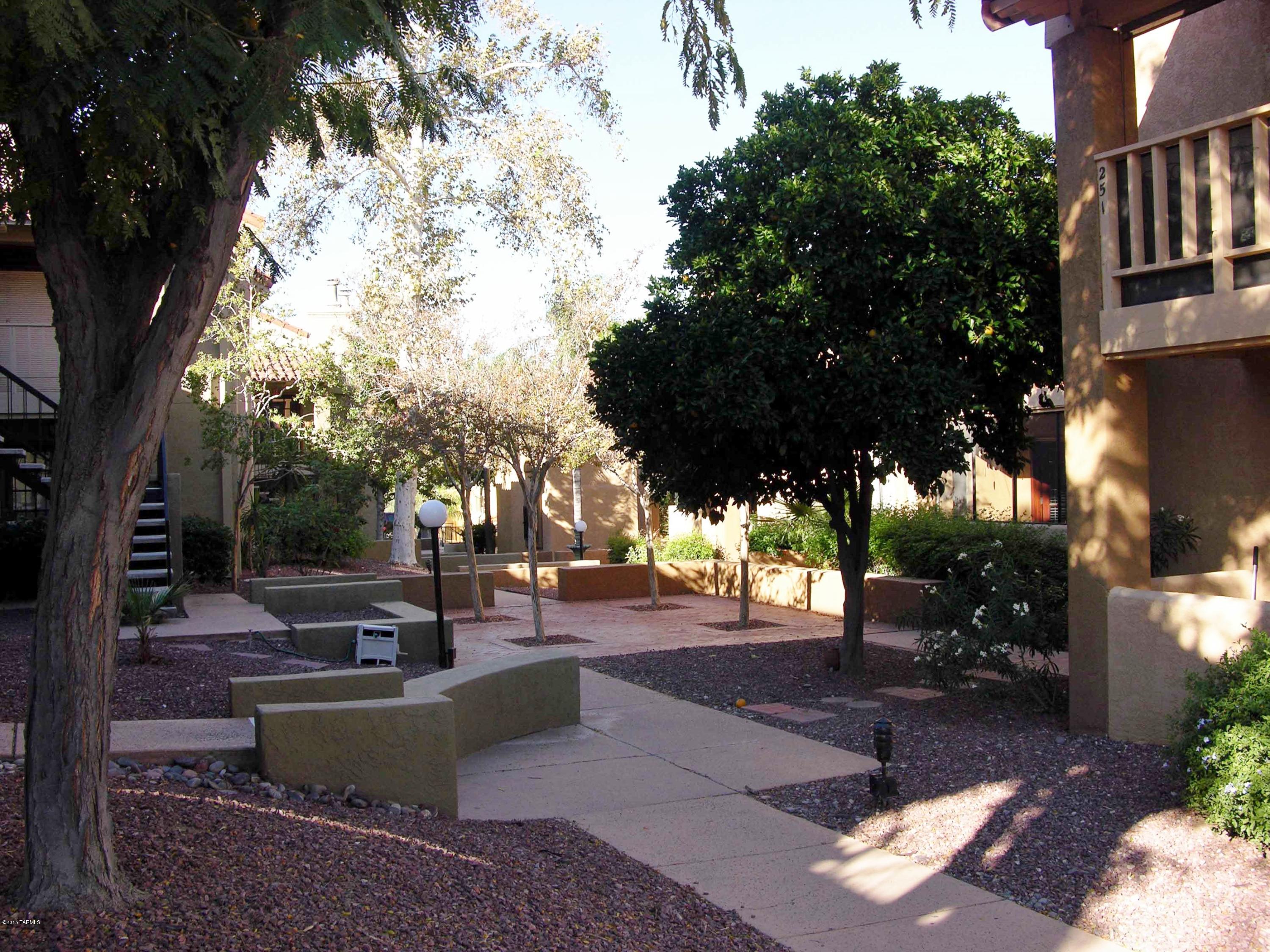 8271 North Oracle Road, Unit 148 Tucson, AZ 85704 - Photo 10 of 20