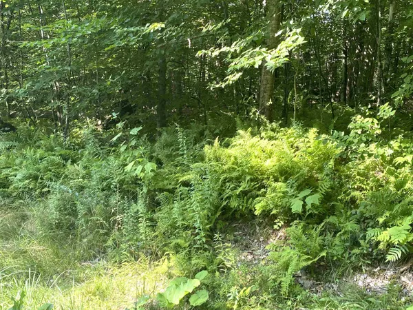 $199,000 | 0 North Branch Road, Ripton, VT 05766