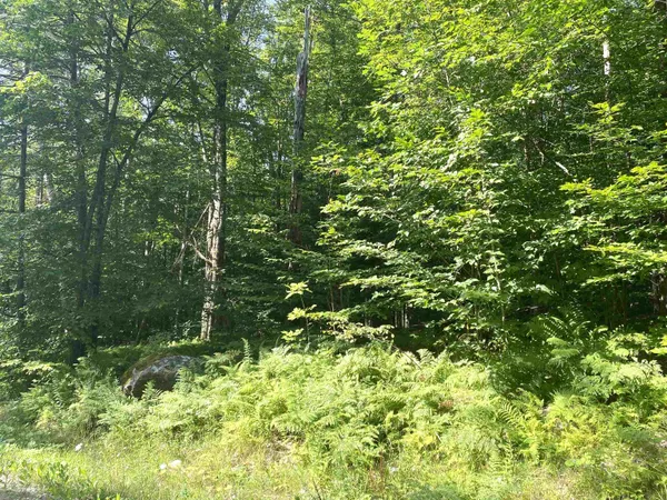 $199,000 | 0 North Branch Road, Ripton, VT 05766