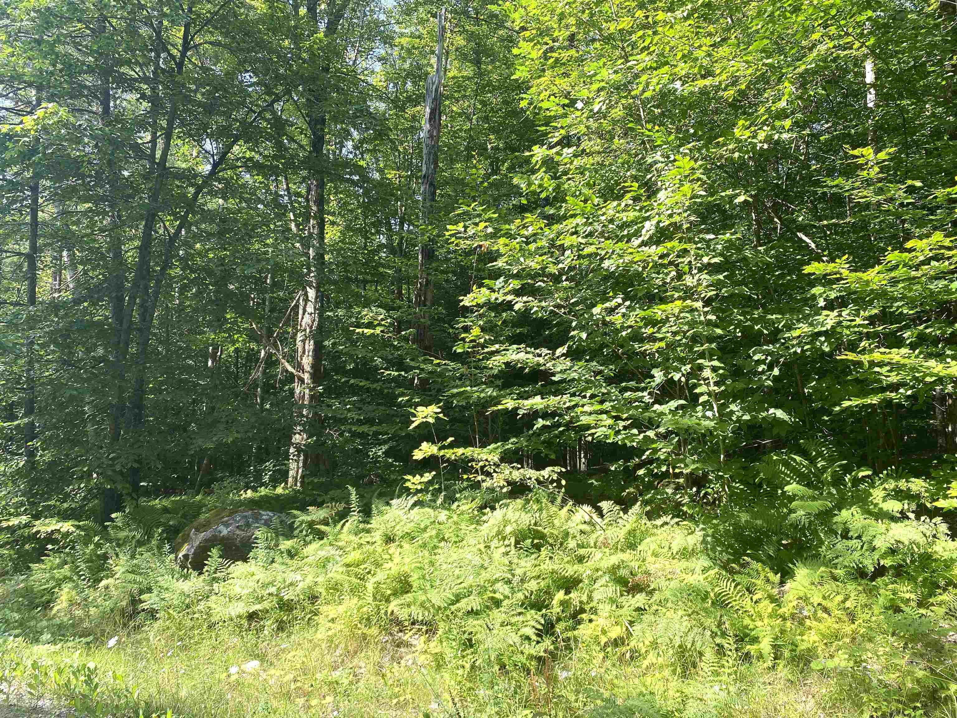 0 North Branch Road Ripton, VT 05766 - Photo 13 of 16