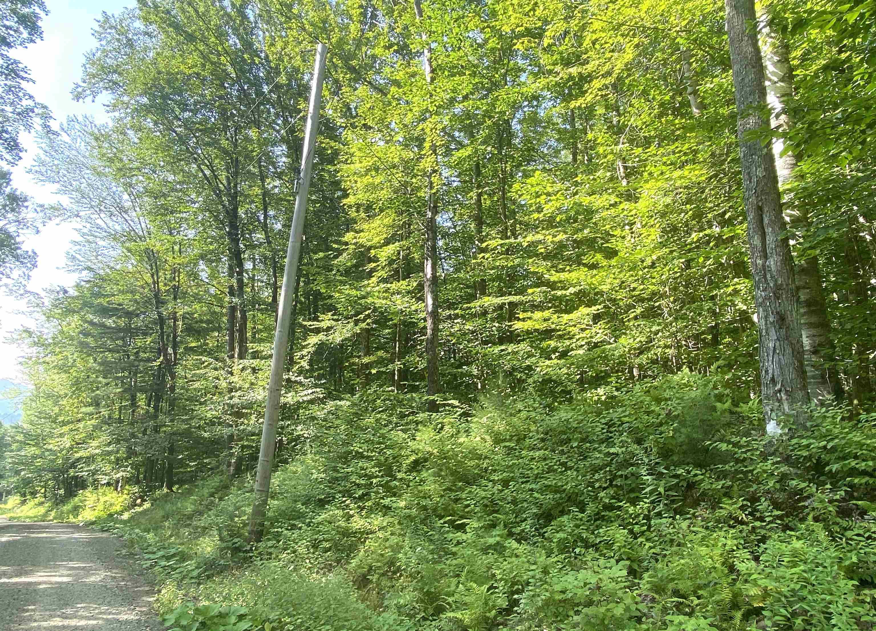 0 North Branch Road Ripton, VT 05766 - Photo 15 of 16