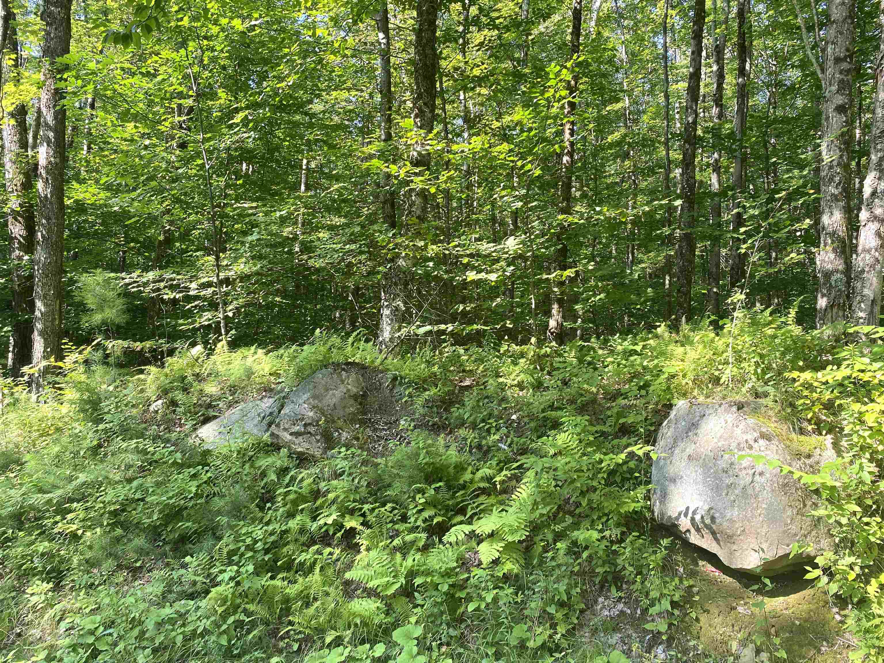 0 North Branch Road Ripton, VT 05766 - Photo 3 of 16