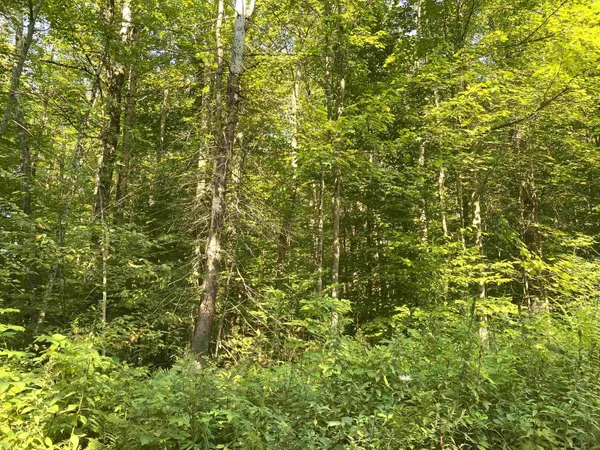 $199,000 | 0 North Branch Road, Ripton, VT 05766