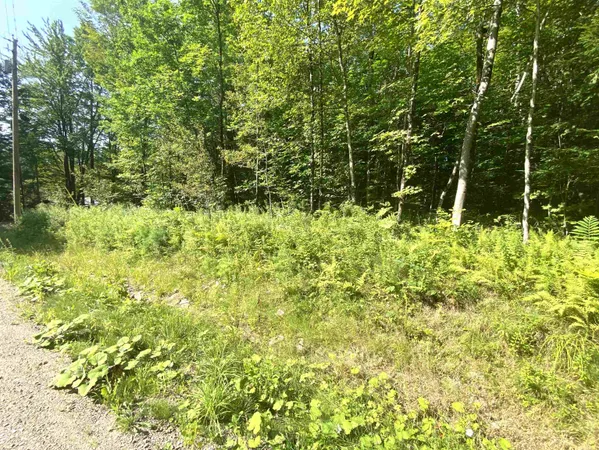 $199,000 | 0 North Branch Road, Ripton, VT 05766