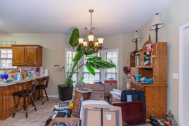 a room with furniture a chandelier and a potted plant