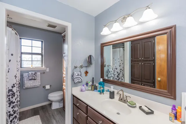 a bathroom with a sink a toilet and a large mirror