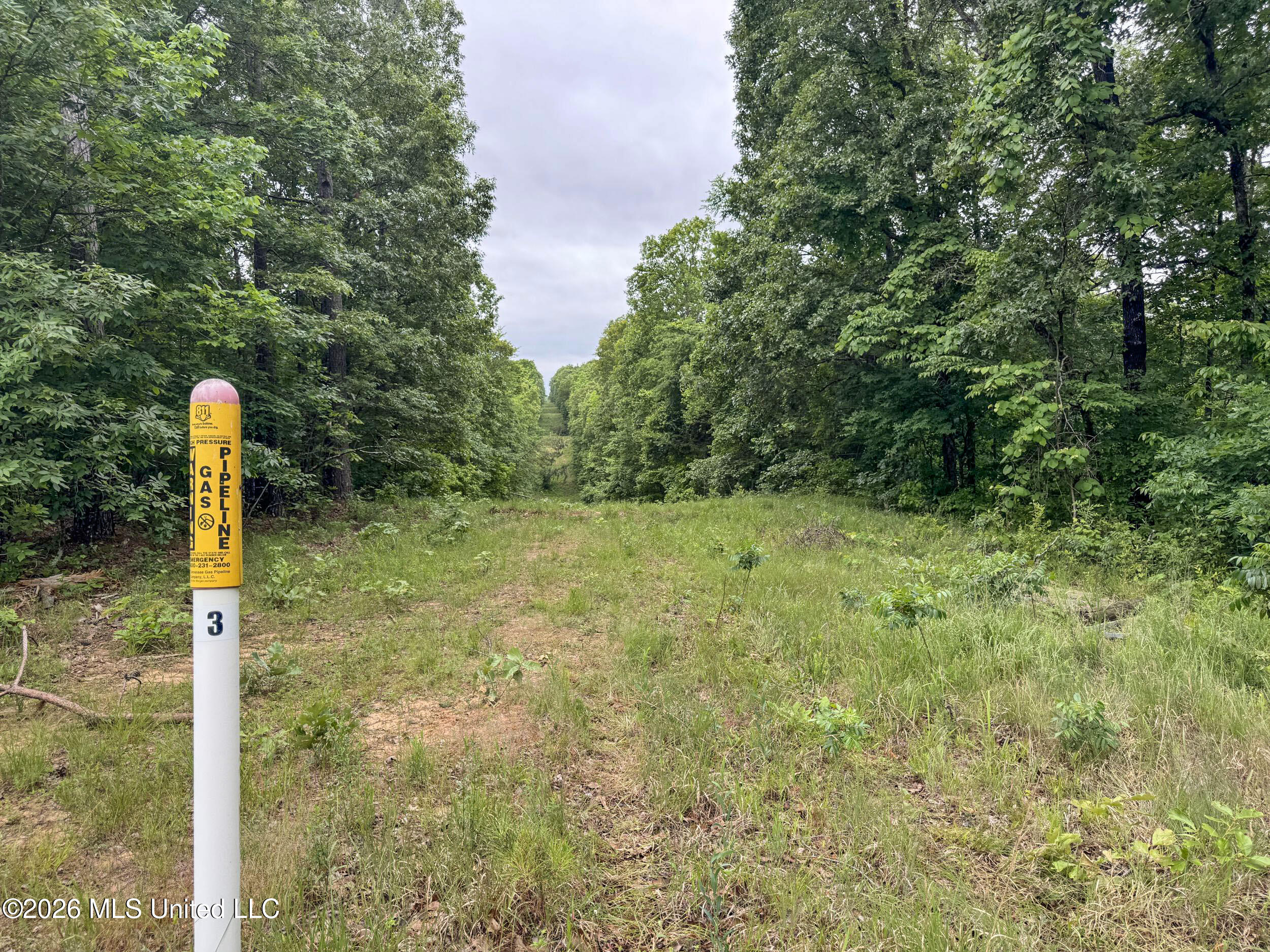 Wayne Massie Road Como, MS 38619 - Photo 128 of 184 5cdtbs69