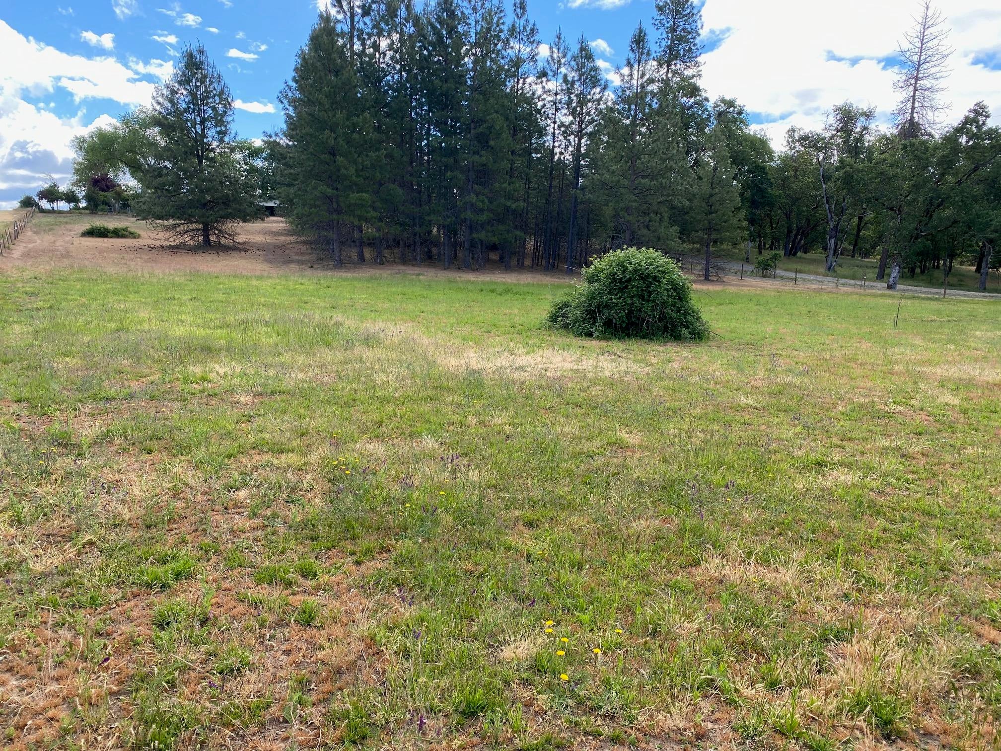 8500 Ramsey Road Gold Hill, OR 97525 - Photo 11 of 34 IMG_2935