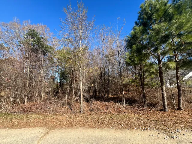 $20,000 | 0 Tennis Lane, Summerton, SC 29148