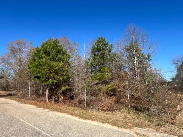 $20,000 | 0 Tennis Lane, Summerton, SC 29148