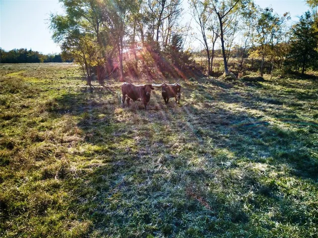 $858,100 | 956 County Road 4231, Bonham, TX 75418