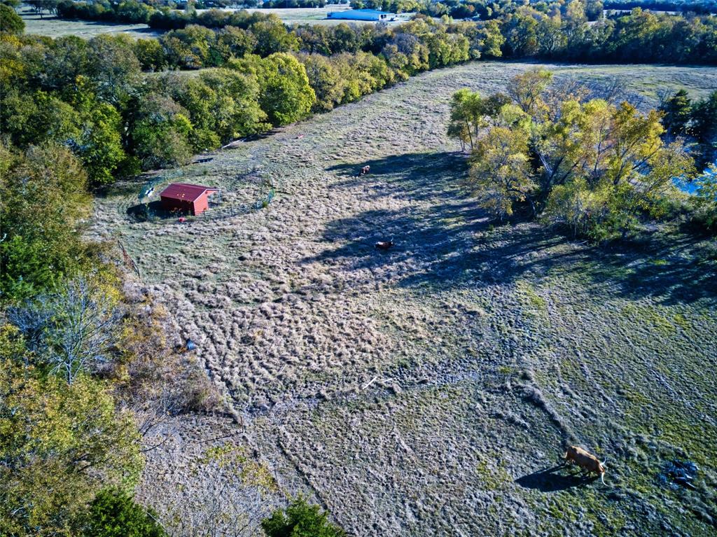 956 County Road 4231 Bonham, TX 75418 - Photo 21 of 25 a view of a garden with flowers