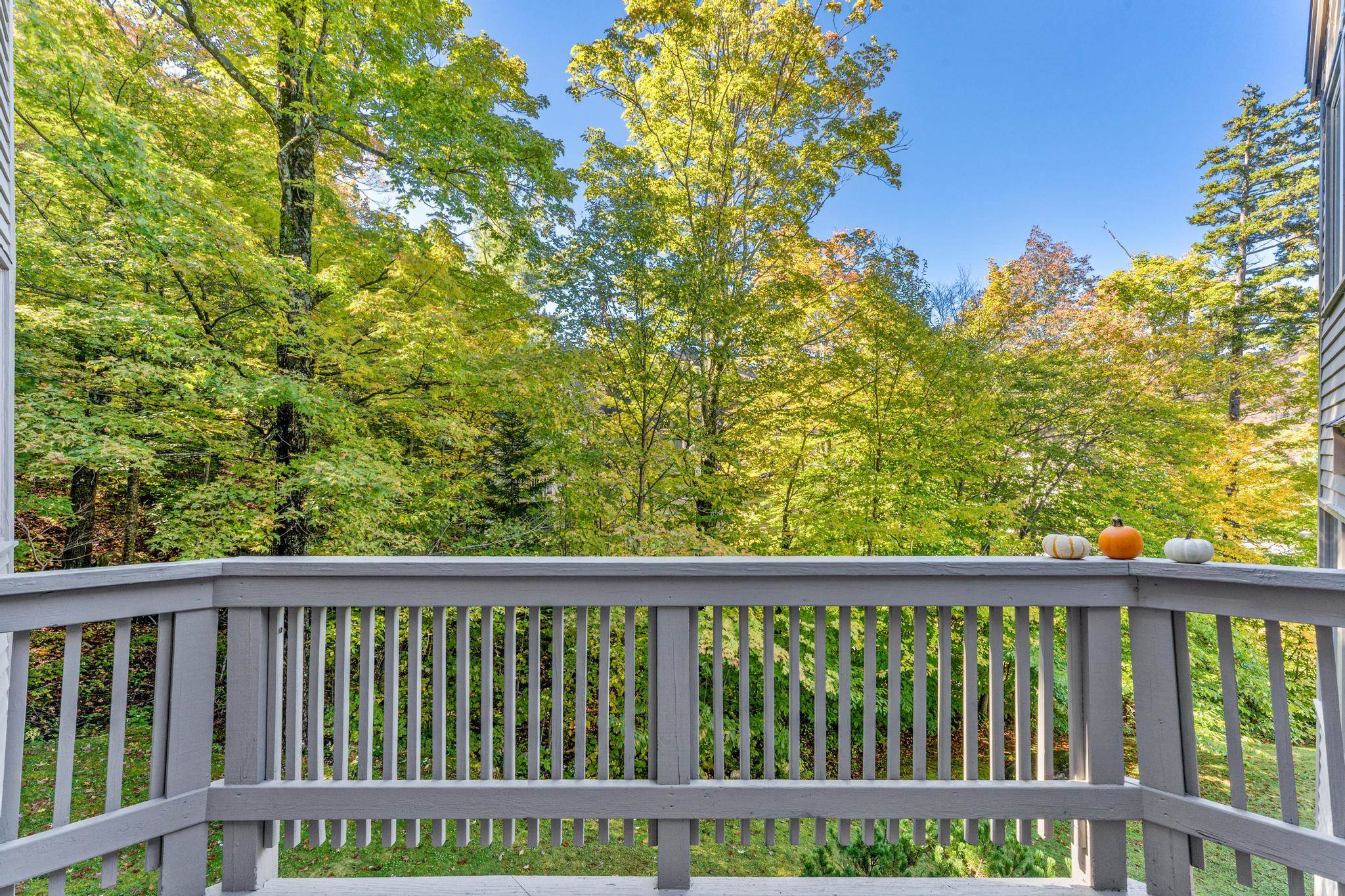 788 East Mountain Road, Unit D6 Killington, VT 05751 - Photo 4 of 37 Gallery Image 4