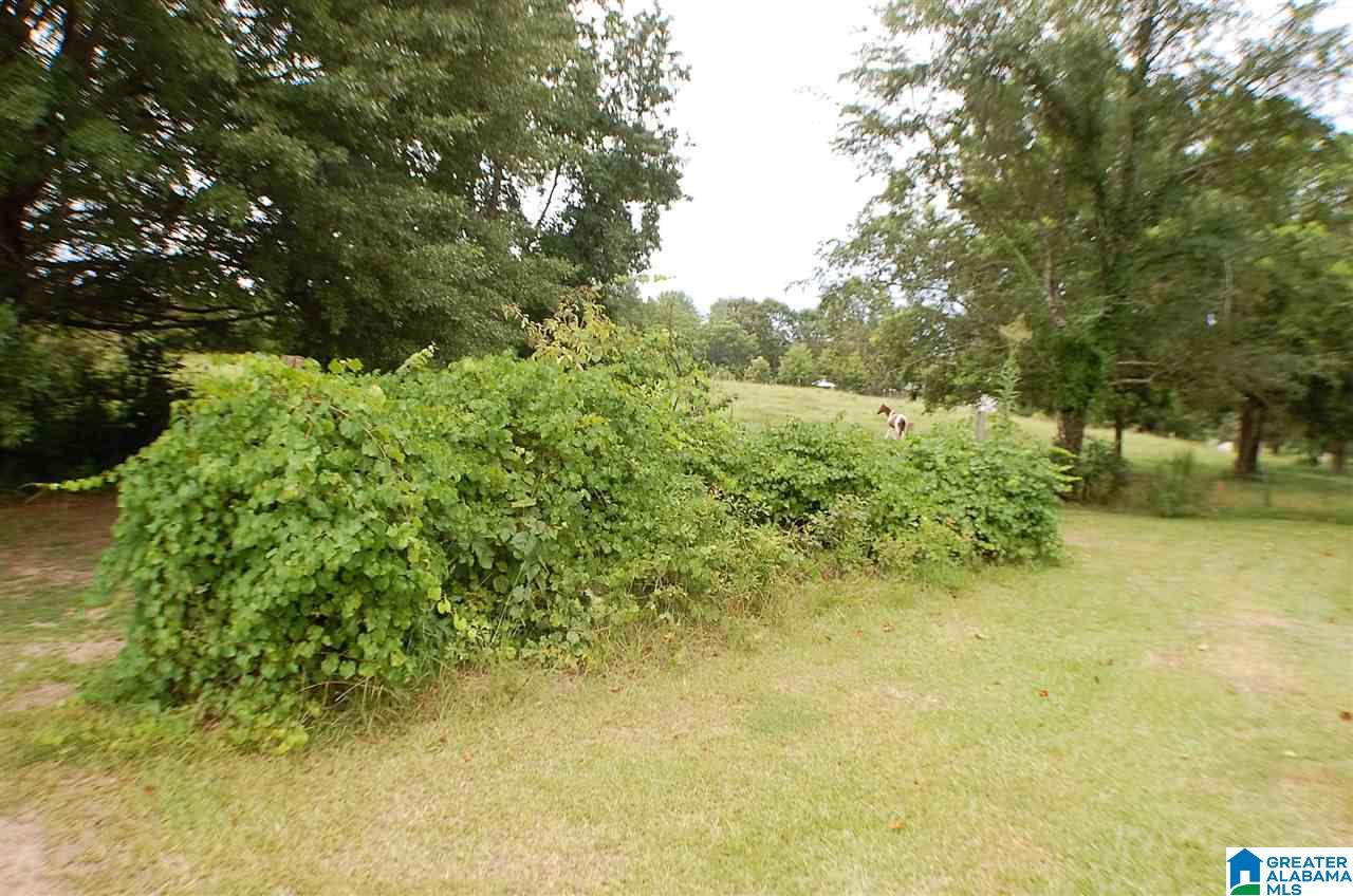 155 County Road 177 Jemison, AL 35085 - Photo 11 of 34