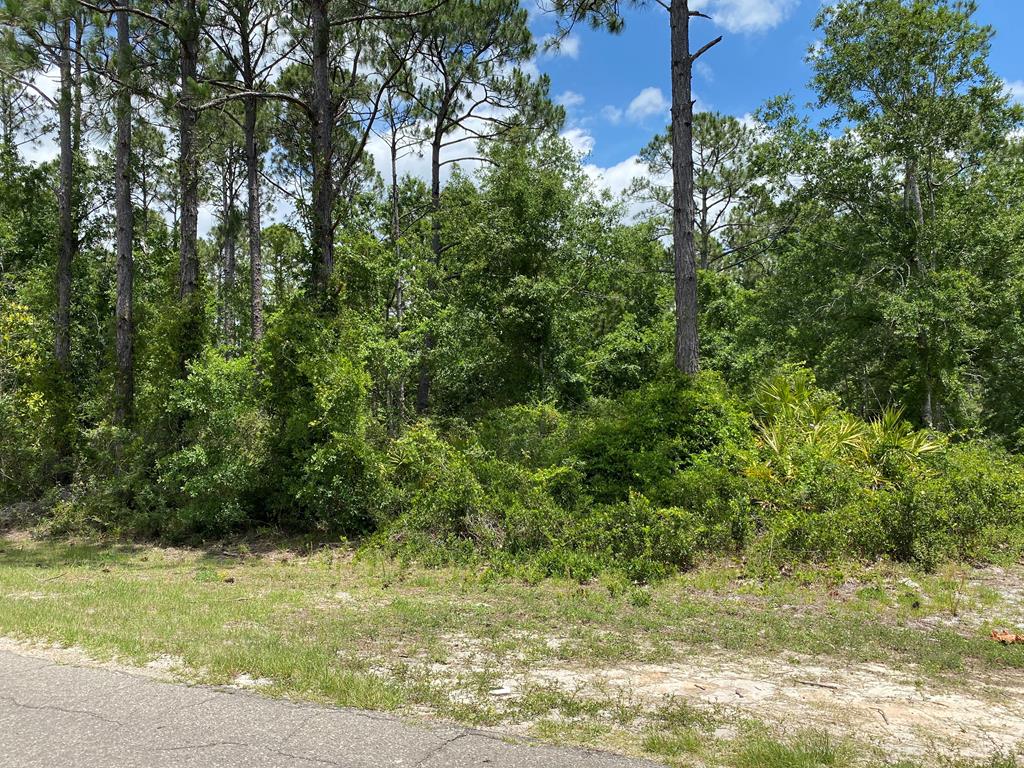 Lot 17 Jones Homestead Road Port St. Joe, FL 32456 - Photo 1 of 3 Gallery Image 1