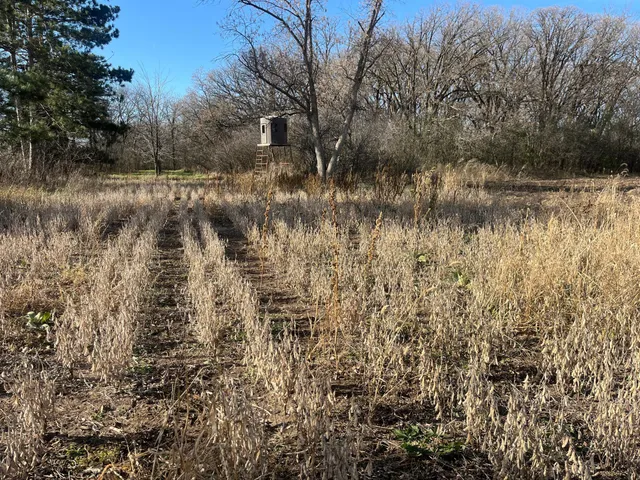 $450,000 | 2 Saint Joseph Twp Mn 56374, Avon, MN 56310