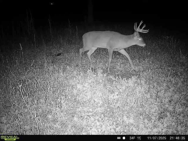 $450,000 | 2 Saint Joseph Twp Mn 56374, Avon, MN 56310