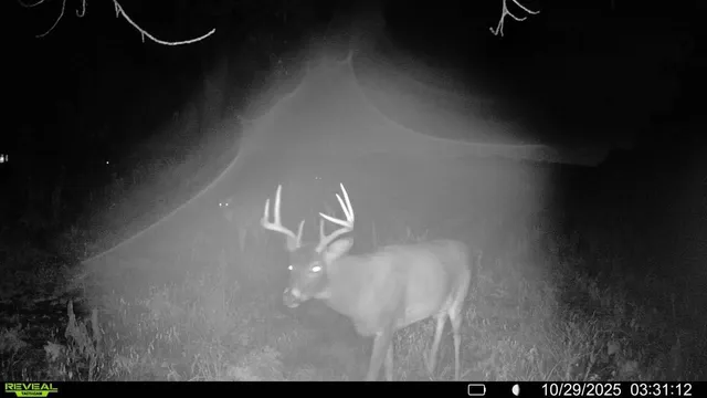 $450,000 | 2 Saint Joseph Twp Mn 56374, Avon, MN 56310