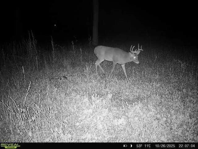 $450,000 | 2 Saint Joseph Twp Mn 56374, Avon, MN 56310