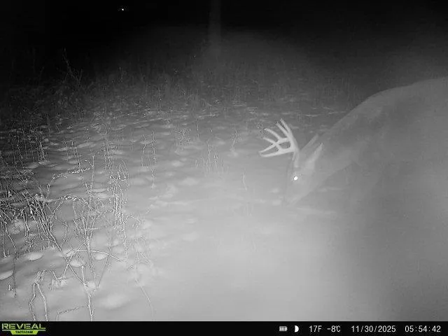 $450,000 | 2 Saint Joseph Twp Mn 56374, Avon, MN 56310