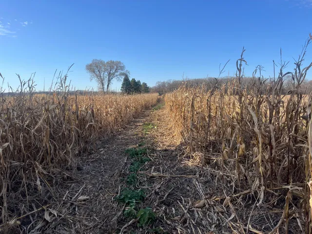 $450,000 | 2 Saint Joseph Twp Mn 56374, Avon, MN 56310