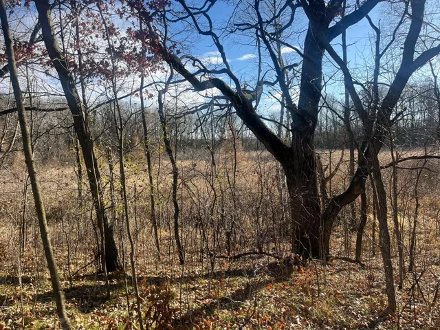 $450,000 | 2 Saint Joseph Twp Mn 56374, Avon, MN 56310