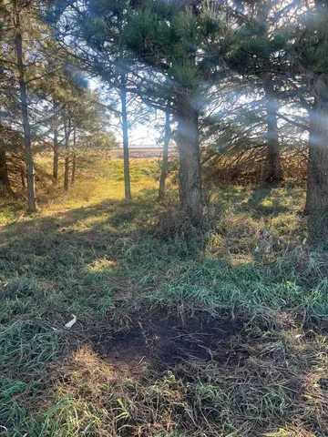 $450,000 | 2 Saint Joseph Twp Mn 56374, Avon, MN 56310