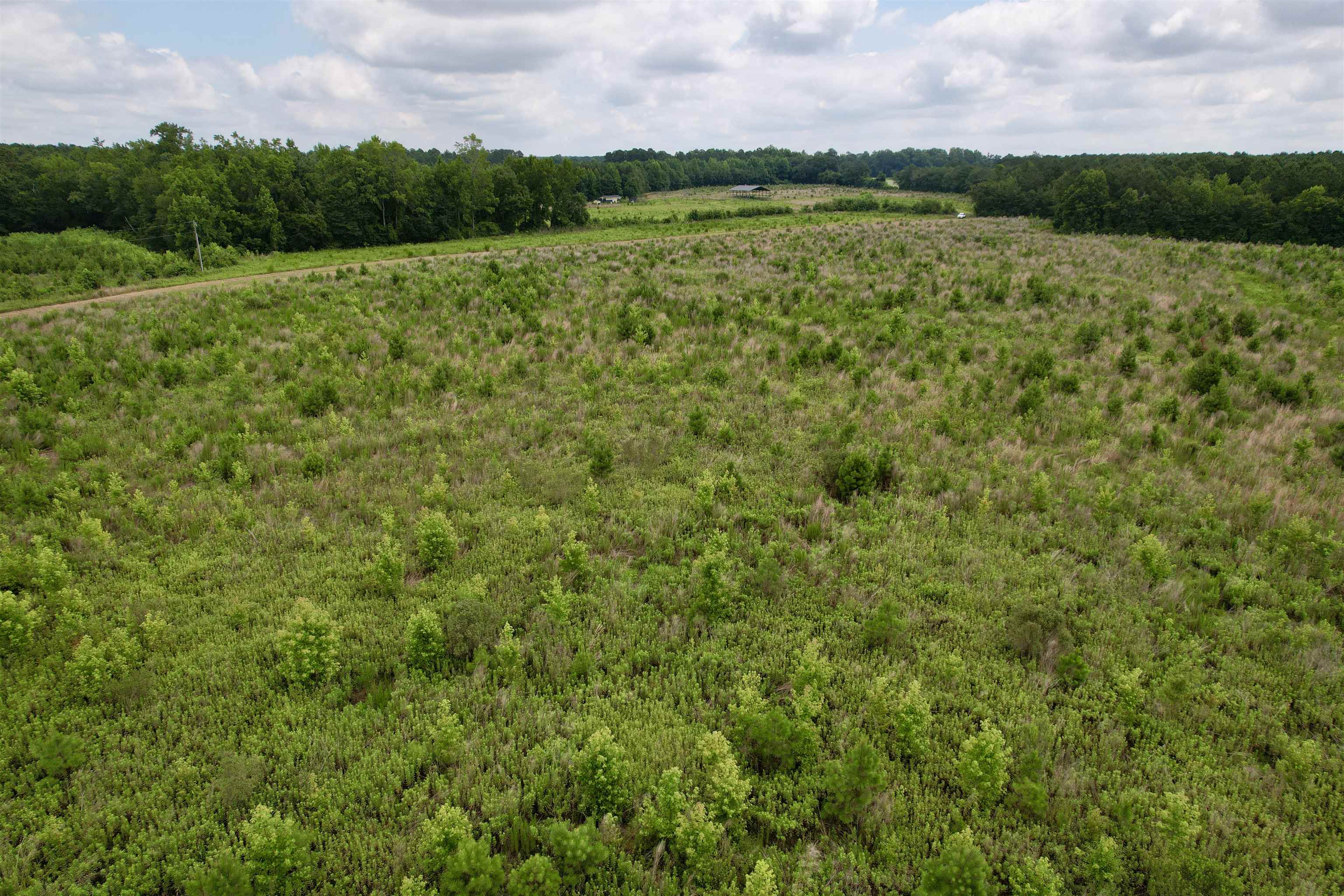 0 Powell Rd Green Green Sea, SC 29545 - Photo 49 of 72