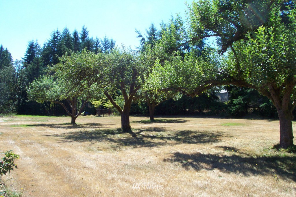 3305 Carpenter Road Southeast Lacey, WA 98503 - Photo 14 of 15 Gallery Image 14