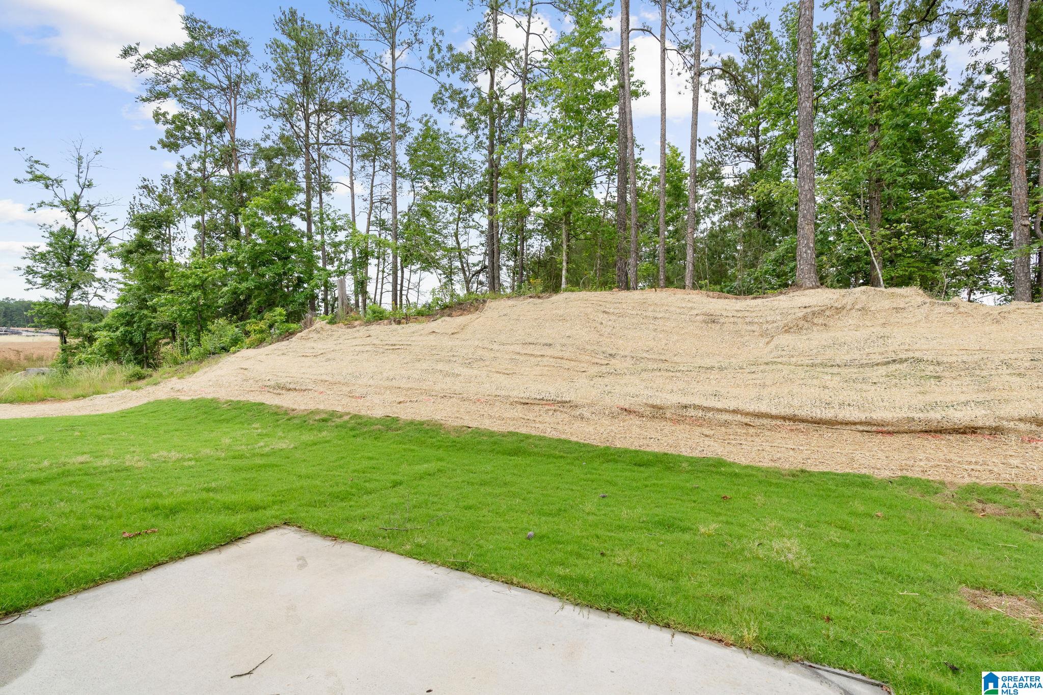 884 Camden Loop Calera, AL 35040 - Photo 15 of 16