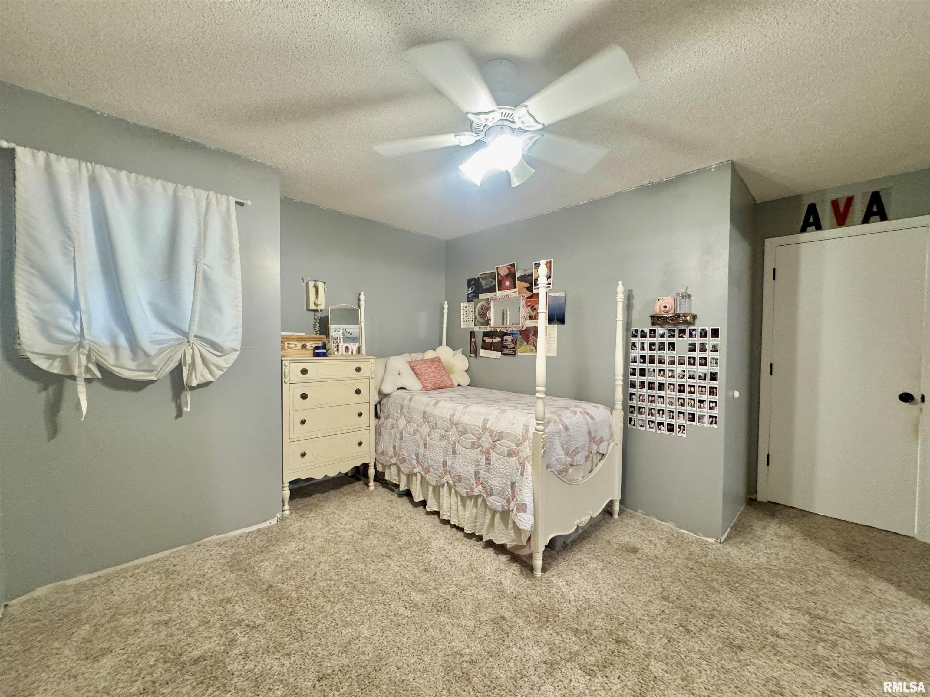 15013 Circle M Road Sesser, IL 62884 - Photo 19 of 34